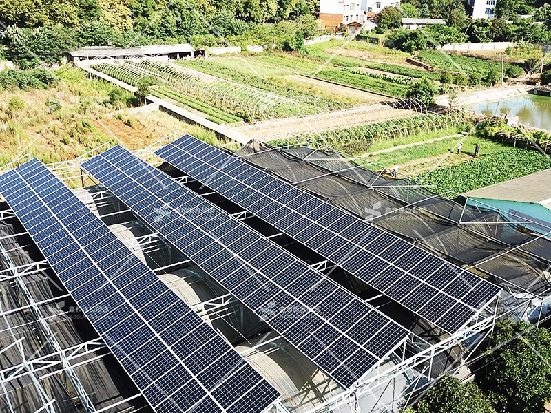 �����ڲ���������Ϊ��,רҵ������ɫ��Դ���޹�˾