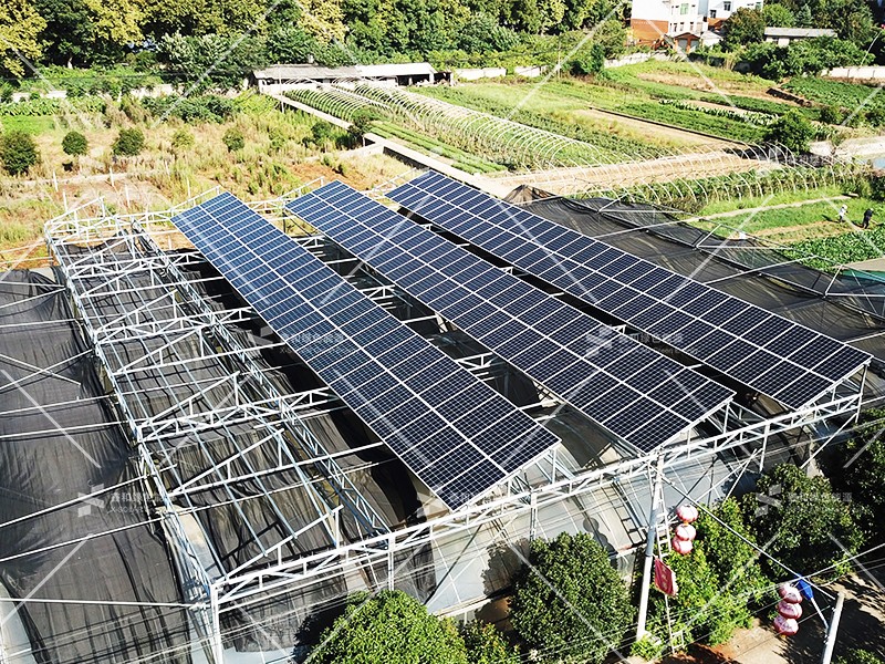 �����ڲ���������Ϊ��,רҵ������ɫ��Դ���޹�˾