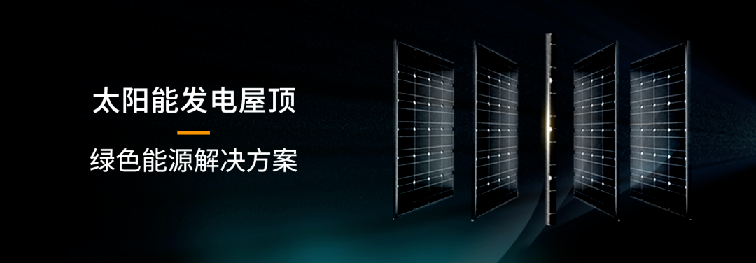 �ڲ���������Ϊ��,רҵ����