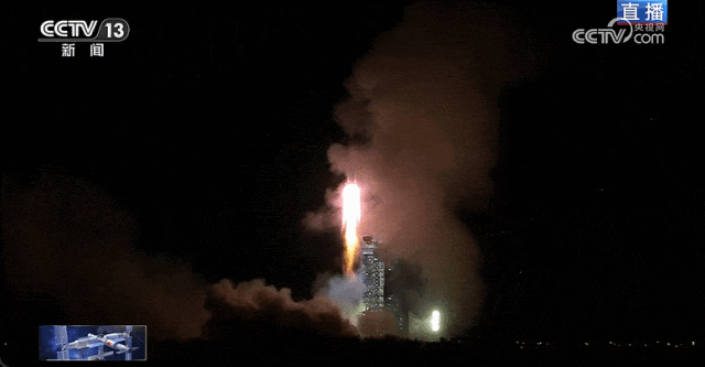 �ڲ���������Ϊ��,רҵ����