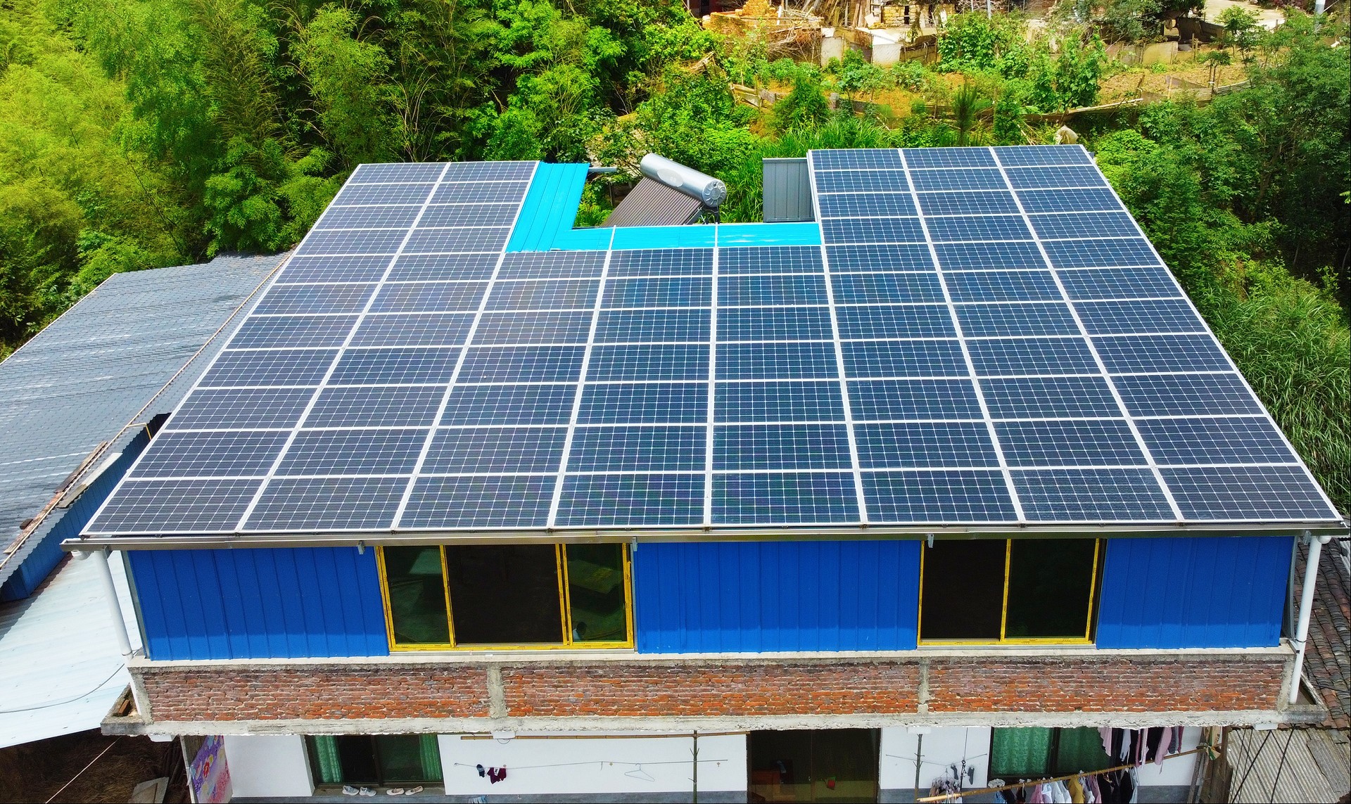 �ڲ���������Ϊ��,רҵ����