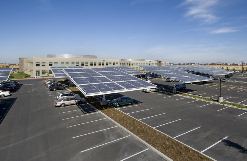 �ڲ���������Ϊ��,רҵ����