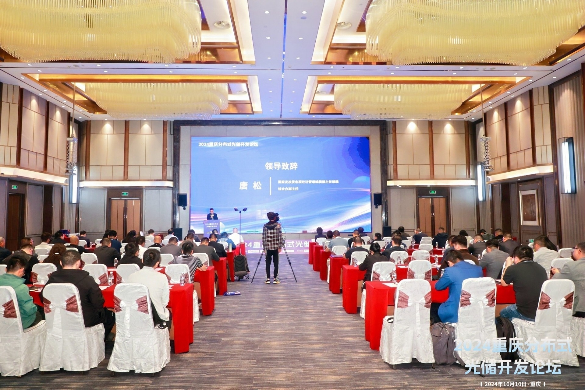 �ڲ���������Ϊ��,רҵ����