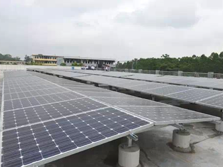 �ڲ���������Ϊ��,רҵ����